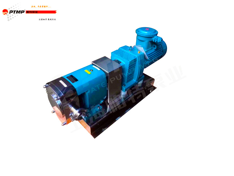 衛(wèi)生級轉(zhuǎn)子泵
